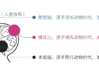 XC新橙APP✅｜🈷️最后想说：人脑的自由