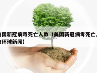 美国新冠病毒死亡人数（美国新冠病毒死亡人数环球新闻）
